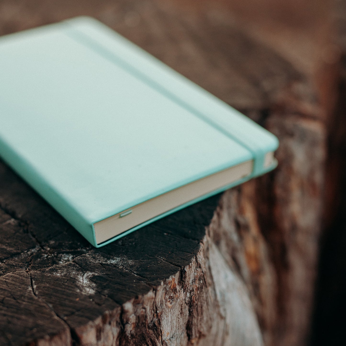 Bullet Journal