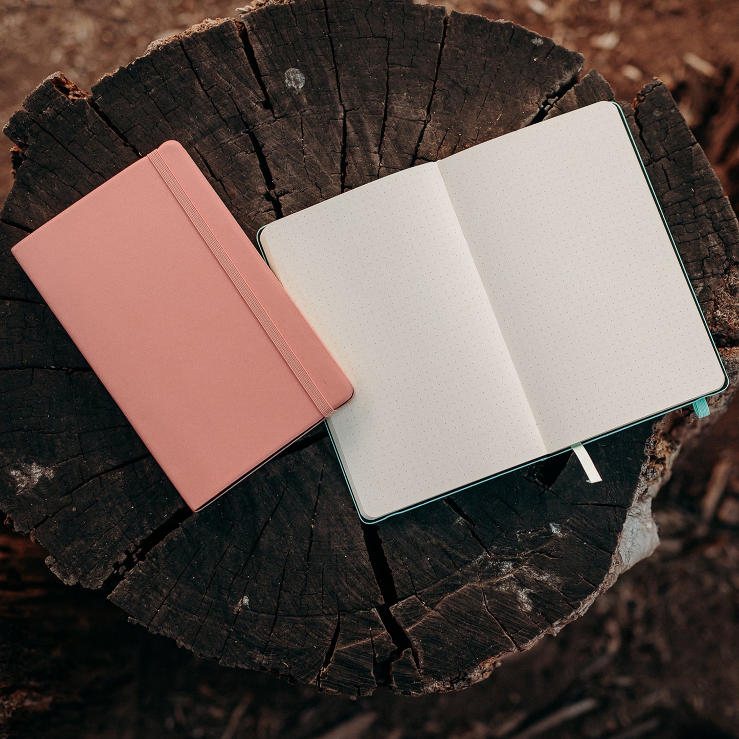 Bullet Journal