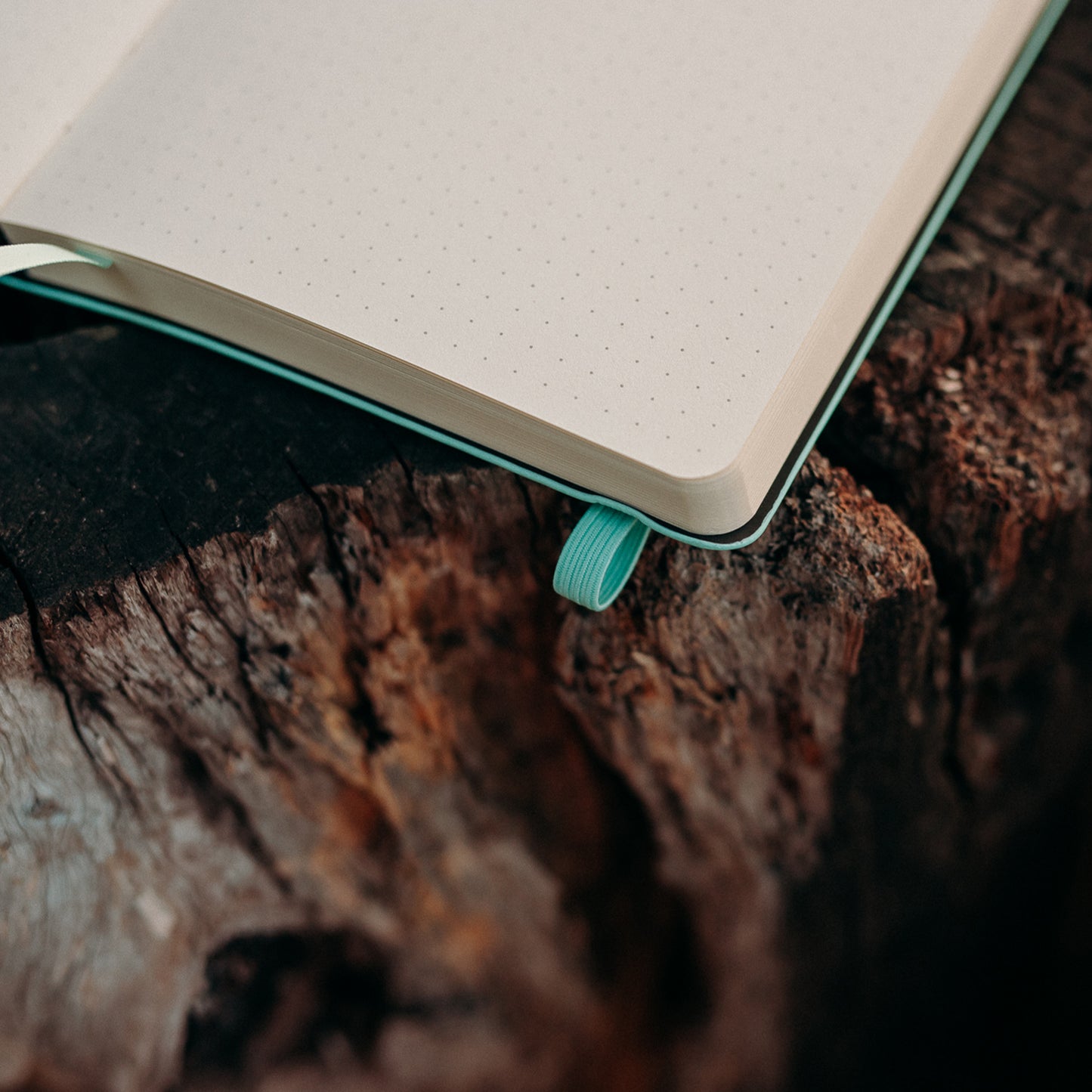 Bullet Journal